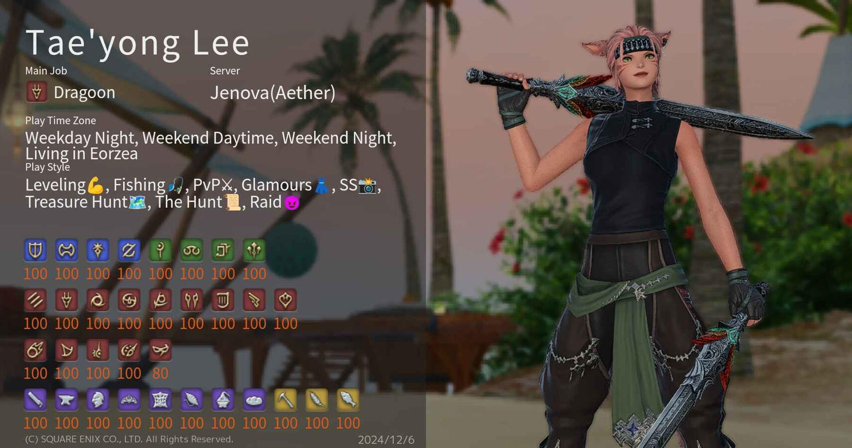 Image of my WoL character "card" displaying main job, server, playstyle, and job levels